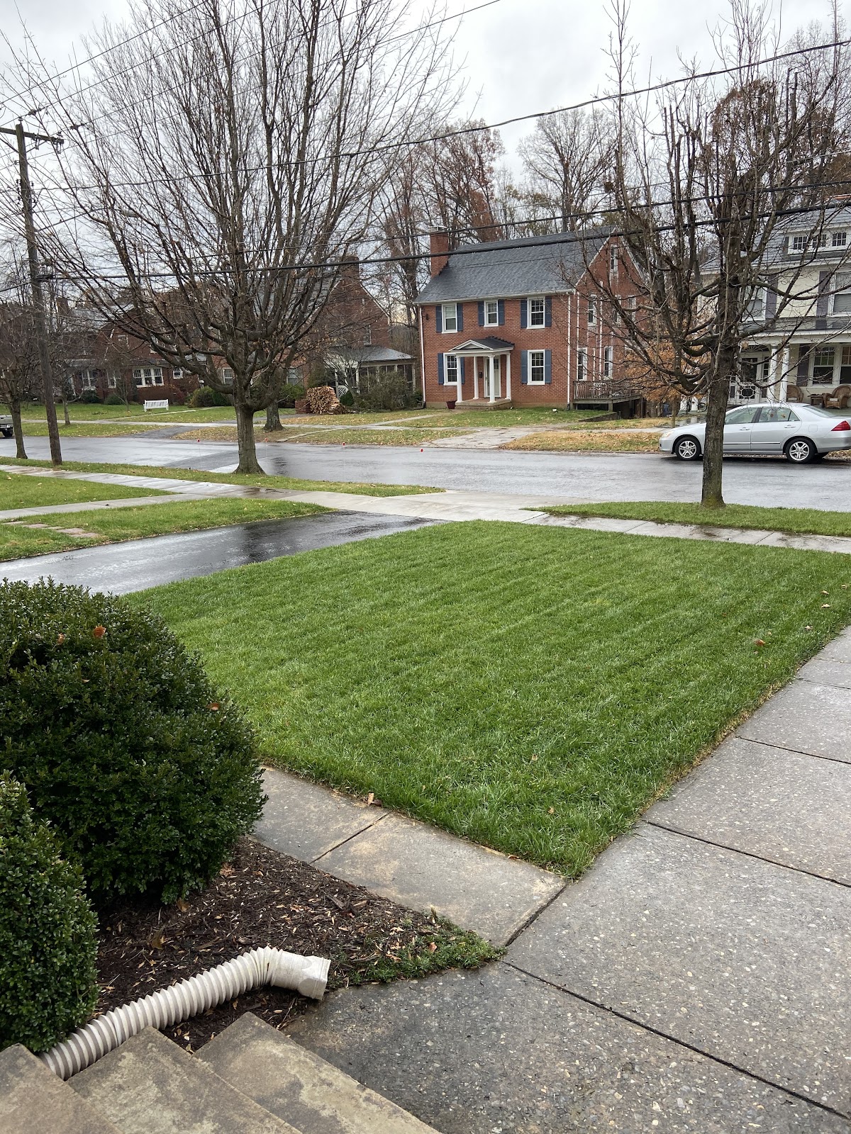 Freshly striped front lawn cared for by Lawn Pros in Forest, VA